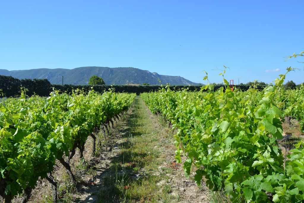 Domaine Des Peyre Apartman Robion en Luberon Kültér fotó
